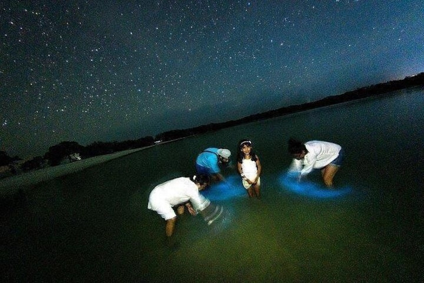 Bioluminescence Tour by Car at Holbox 1