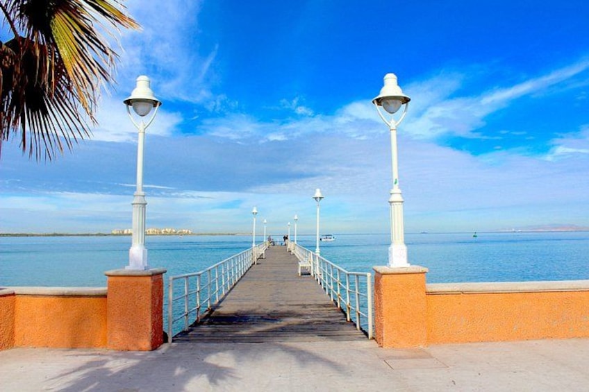 A coastal walkway with white lamp posts, palm trees, and a clear blue sky. 3