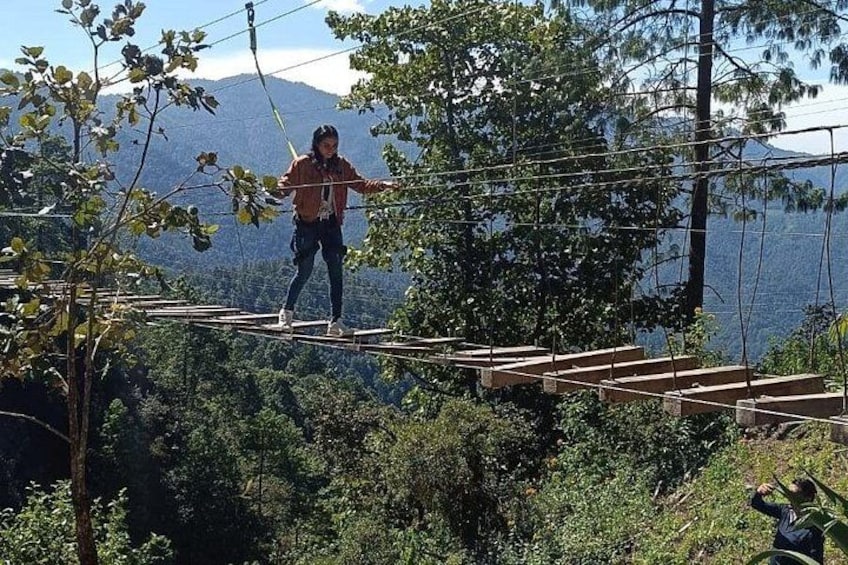 suspension bridge 3