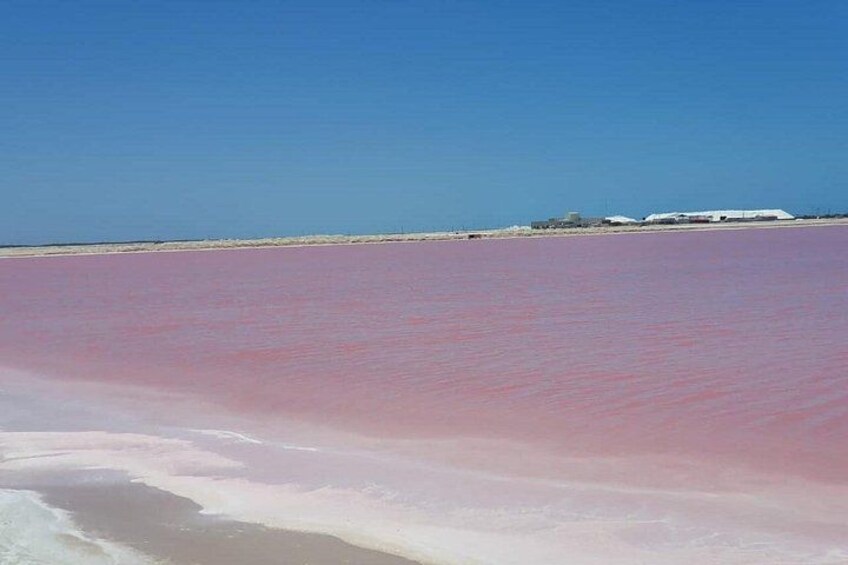 Las Coloradas 2