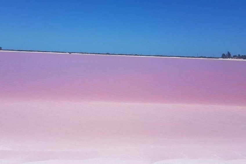 Las Coloradas 4