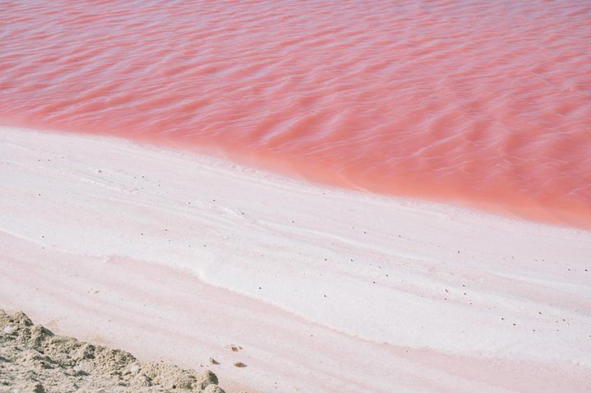 Las Coloradas 2