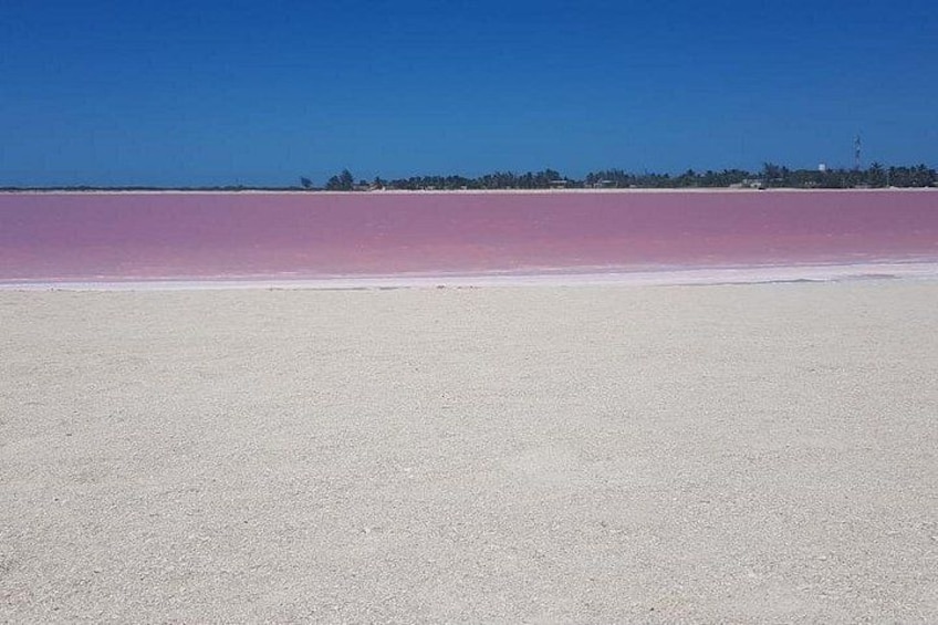 Las Coloradas 3