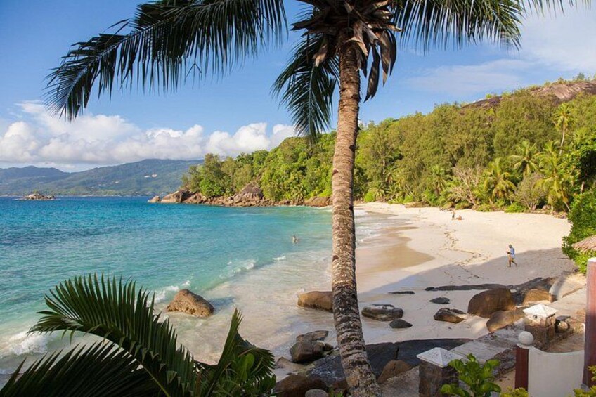 A beach with clear turquoise water, palm trees, and a rocky shoreline. 4