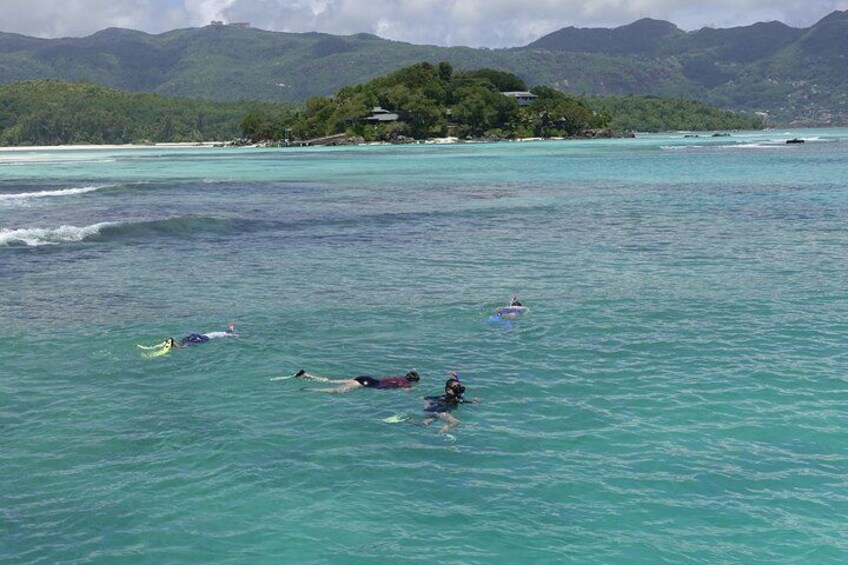 Snorkeling 4