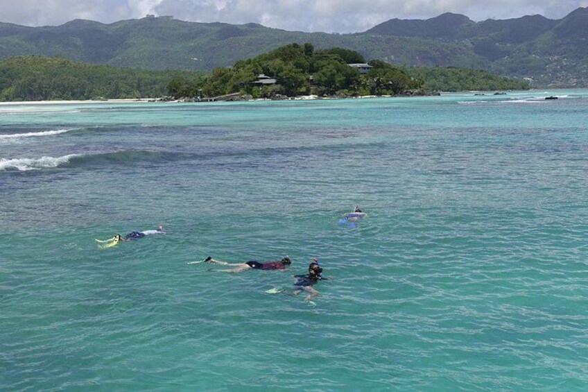 Snorkeling 4