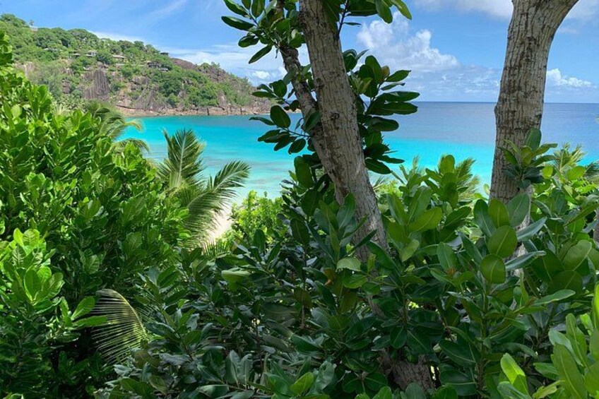 Beaches, swimming & snorkeling | Mahe, Seychelles | Private Tour 2