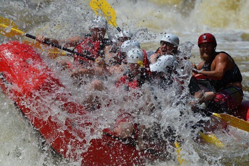 Take the front seat for the most action packed experience. 2