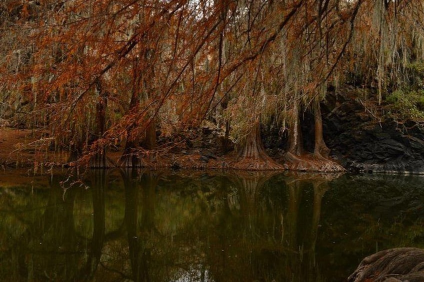 A serene lake with autumn-colored trees reflecting on the water. 3