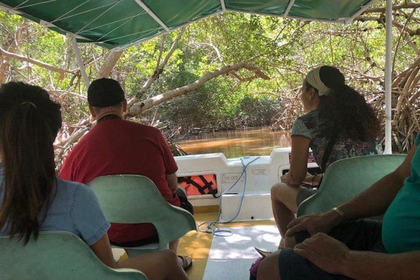Des personnes se trouvent à bord d’un bateau doté d’un auvent, entouré d’arbres et d’eau. 2