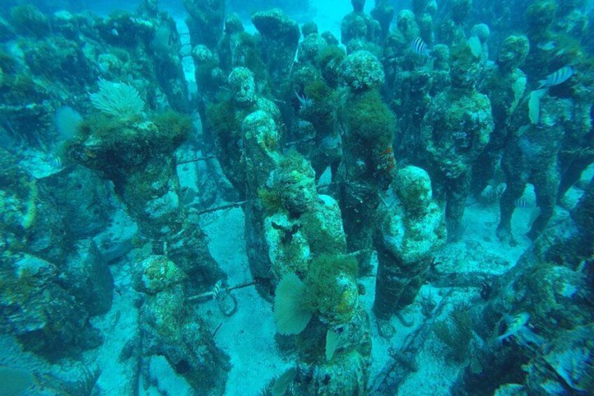 Isla Mujeres Snorkeling Tour Adventure 2