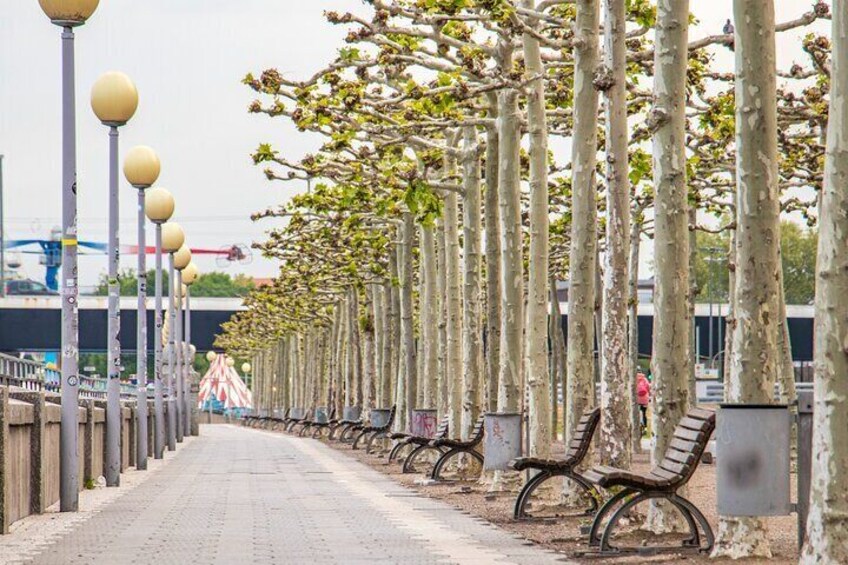 Explore the Instaworthy Spots of Dusseldorf with a Local