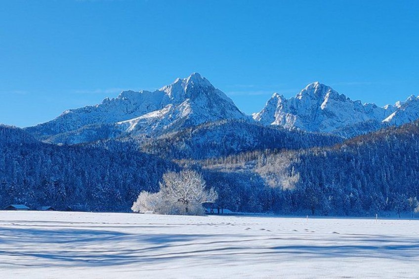 Munich: Private Neuschwanstein, Linderhof Alpine Tour via Austria 3