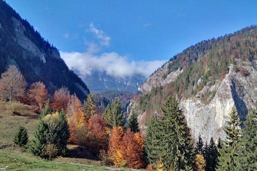 A mountainous landscape with autumn foliage, a clear sky, and a valley. 3