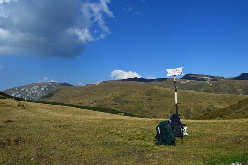 A grassy field with a signpost, mountains in the background, and a backpack on the ground. 4