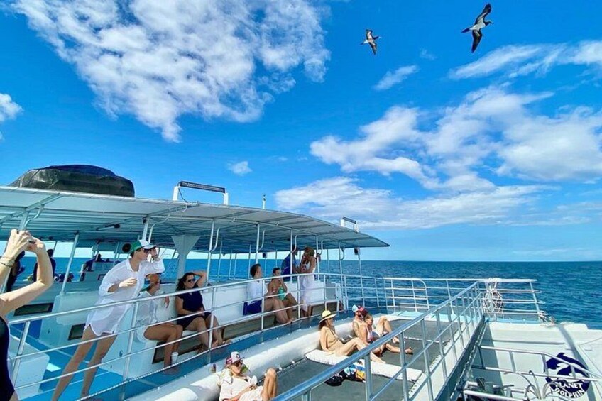 Flamingo, Guanacaste All Inclusive Catamaran Snorkel Adventure 2
