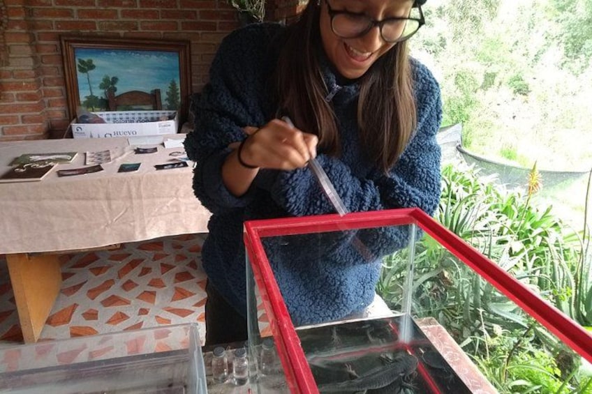 A person working with a red frame and glass, possibly assembling or repairing it. 3