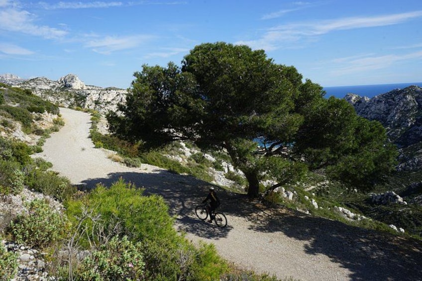 A gravel path with a cyclist, surrounded by rocky terrain and trees. 1