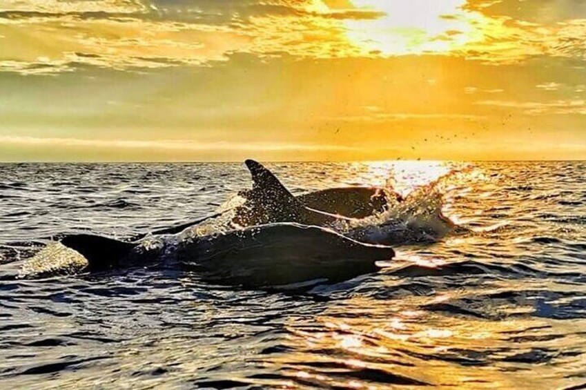 Kayak Huatulco