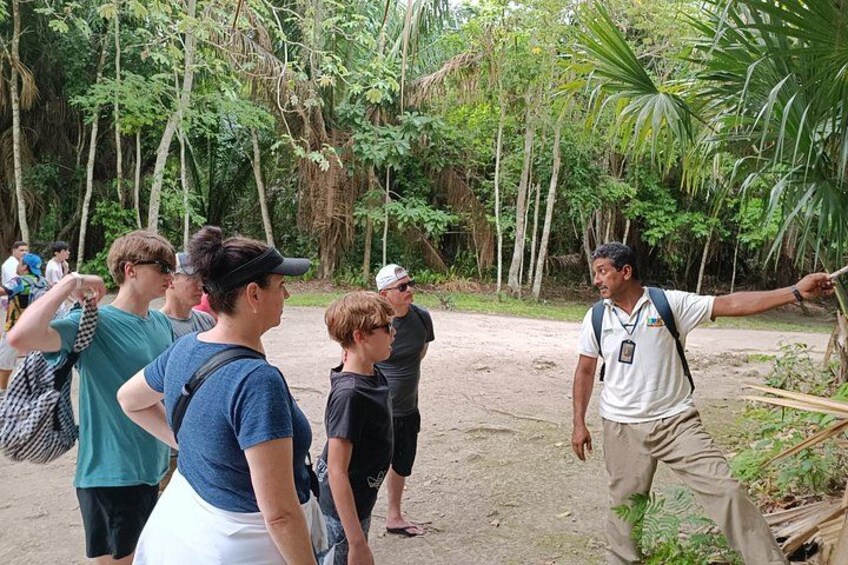 Chacchoben Mayan Ruins Excursion 2