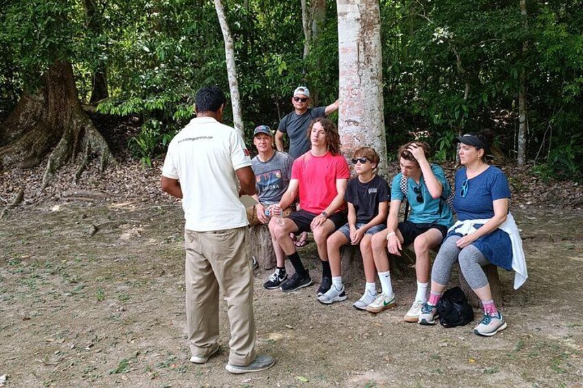 Chacchoben Mayan Ruins Excursion 3