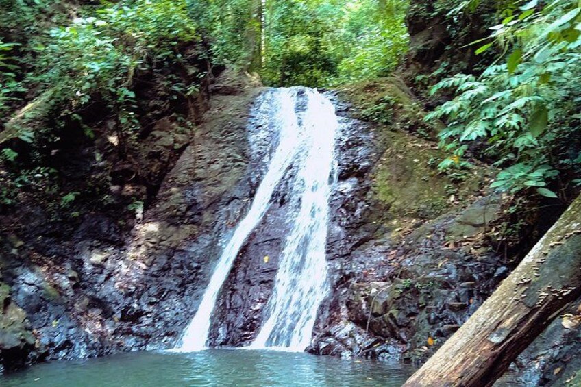 A waterfall cascading down a rocky cliff surrounded by dense foliage. 2