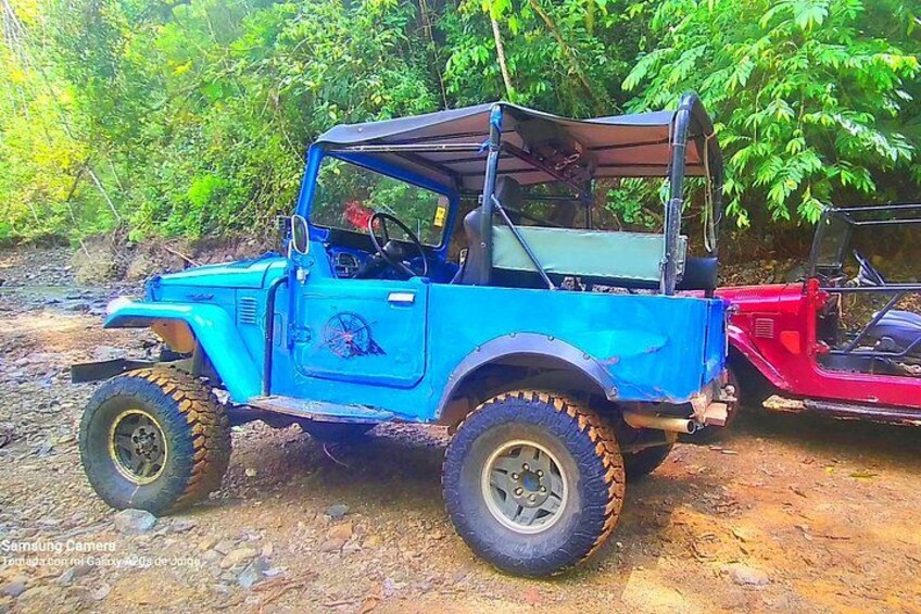Un veicolo fuoristrada blu con tetto parcheggiato su un sentiero sterrato, circondato dal verde. 5