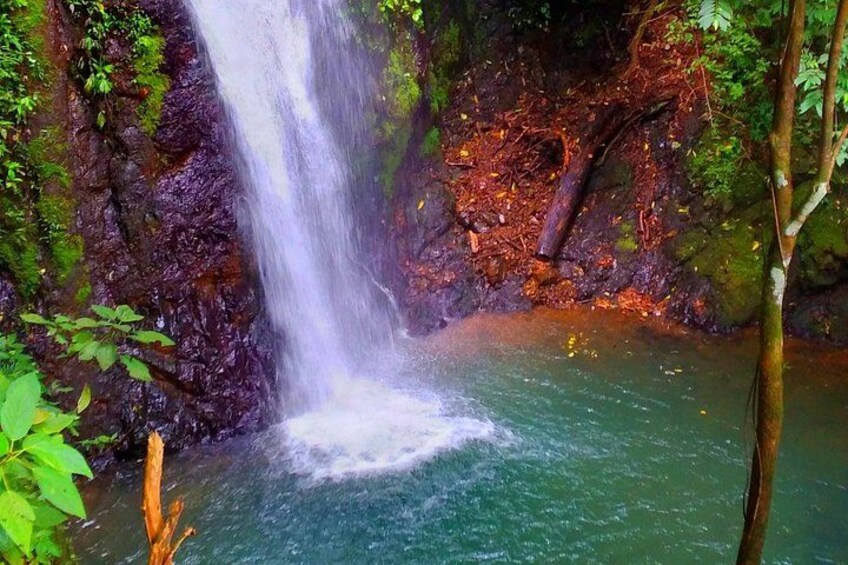 A waterfall in a forested area with a pool of water at the base. 1
