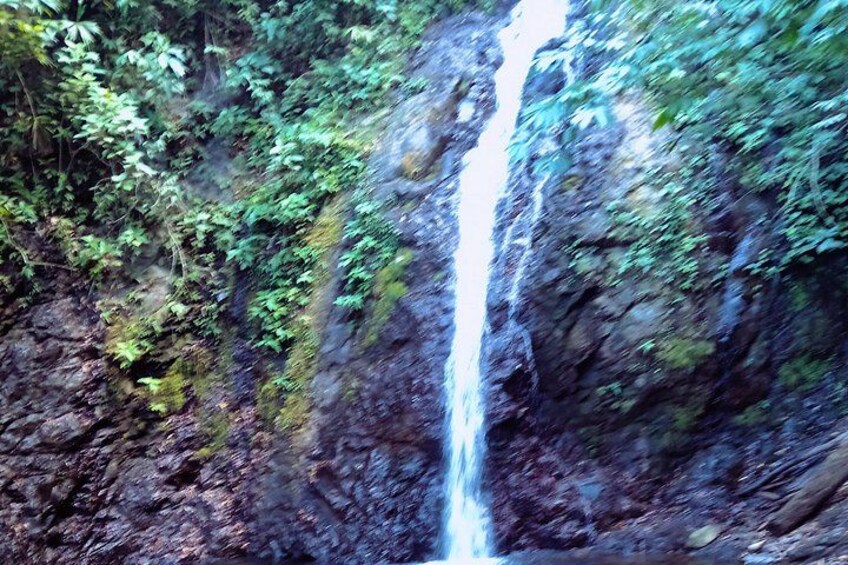 Una cascata che si getta da una scogliera rocciosa, circondata da vegetazione lussureggiante. 3