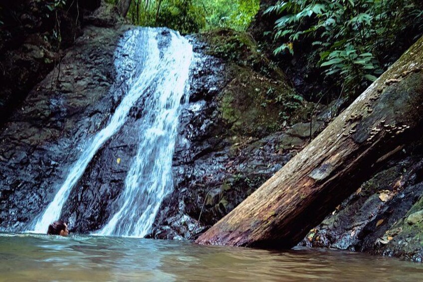A waterfall in a forested area with a fallen log in the foreground. 3