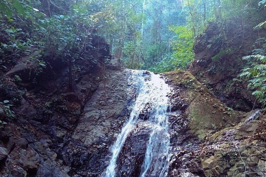 Una cascata in una zona boscosa con terreno roccioso e vegetazione fitta. 2