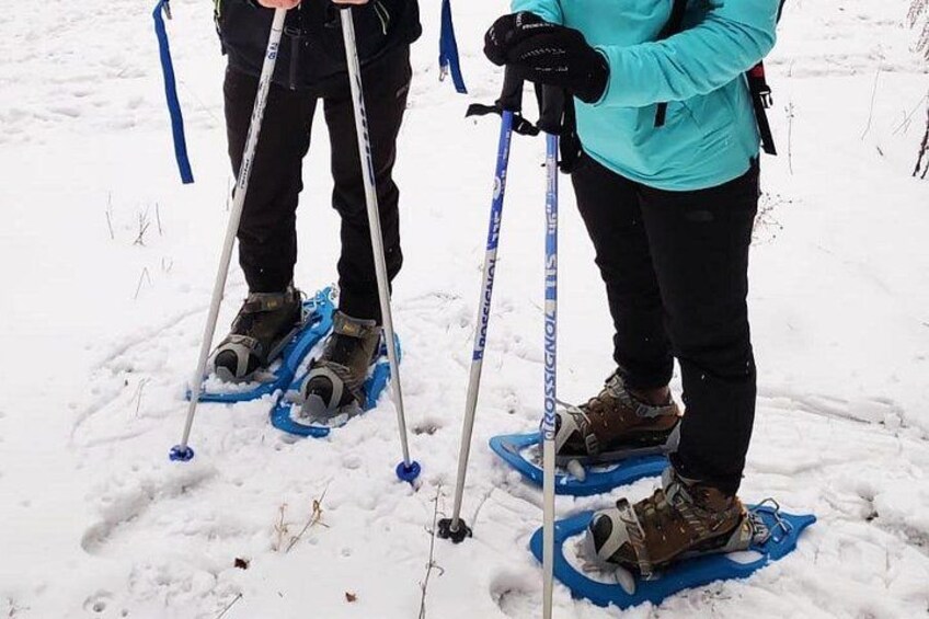 To personer står på snesko med ski-stave. 5