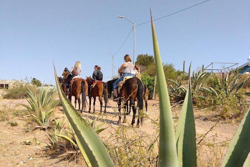 Mexican Equestrian Experience 1