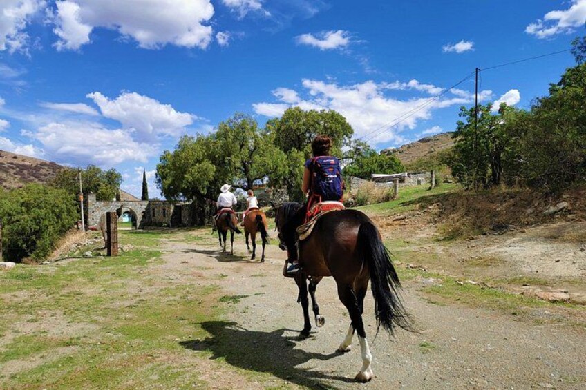 Mexican Equestrian Experience 3