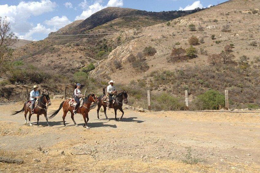 Mexican Equestrian Experience 2