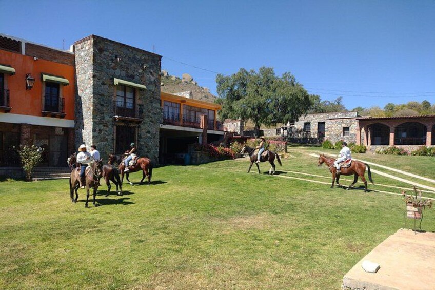 Mexican Equestrian Experience 4