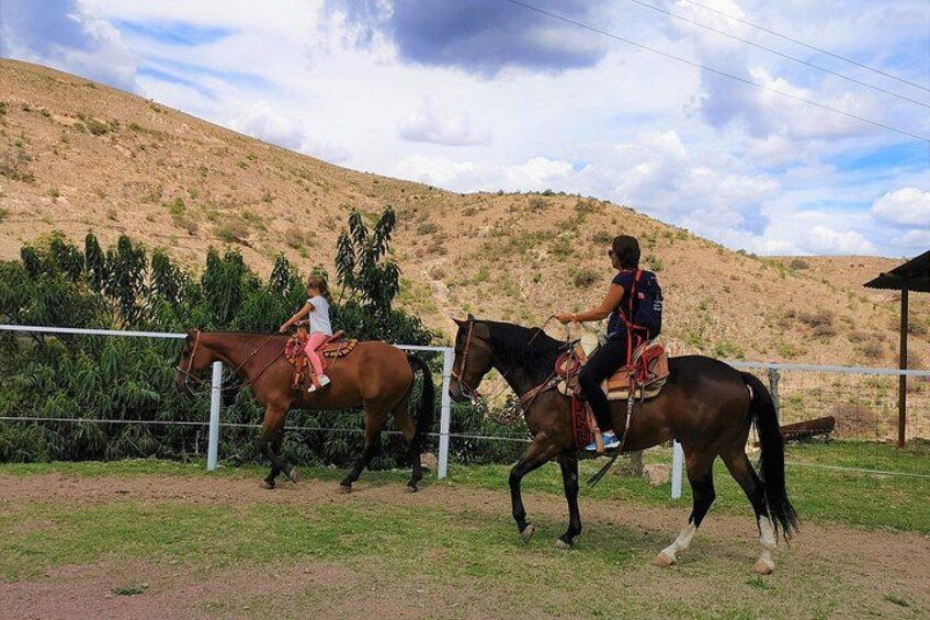 Mexican Equestrian Experience 5