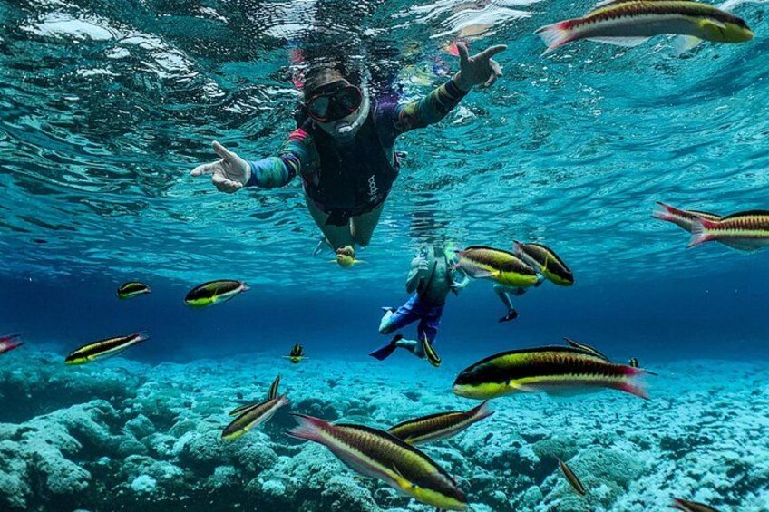 Un buceador bajo el agua con peces nadando a su alrededor. 3