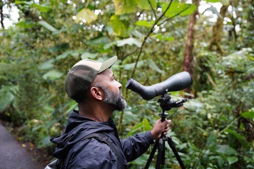 The guide expert 2