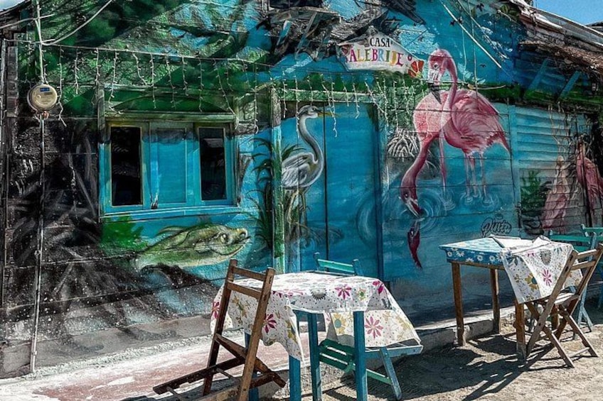Holbox Punta Mosquito The Best Virgin Beaches from Cancun 5