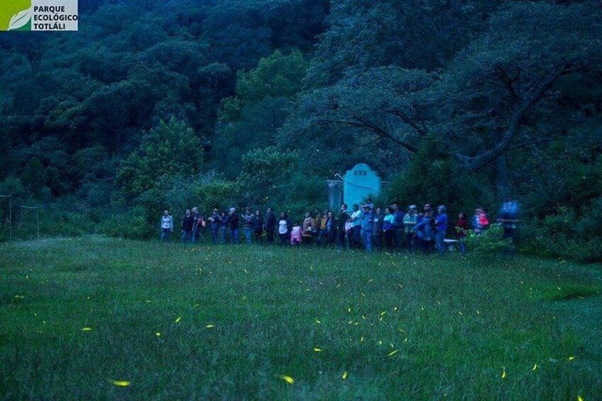 Un groupe de personnes s’est rassemblé dans un champ herbeux, avec des arbres en arrière-plan. 3
