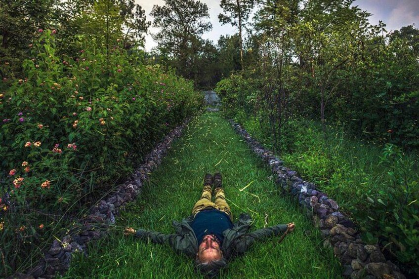 Une personne allongée sur l’herbe dans un jardin, avec un mur de pierre et des plantes en fleurs. 4