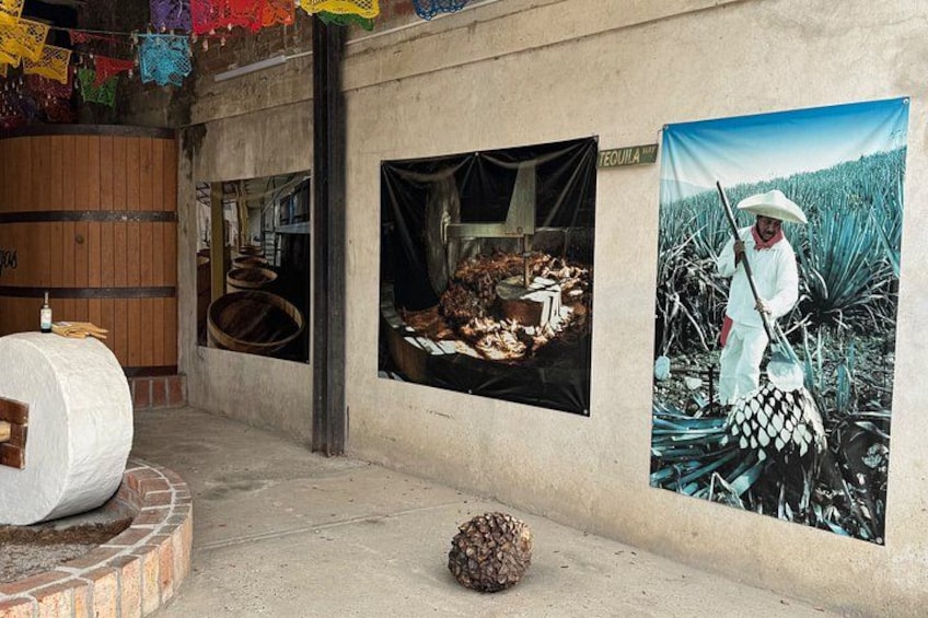 Tequila Tasting Tour in Nuevo Vallarta 2