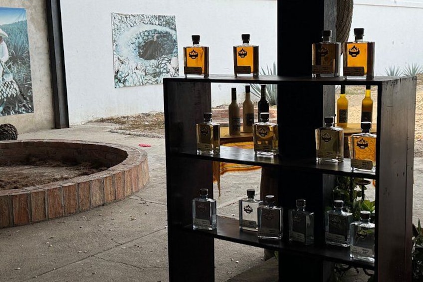 Tequila Tasting Tour in Nuevo Vallarta 4