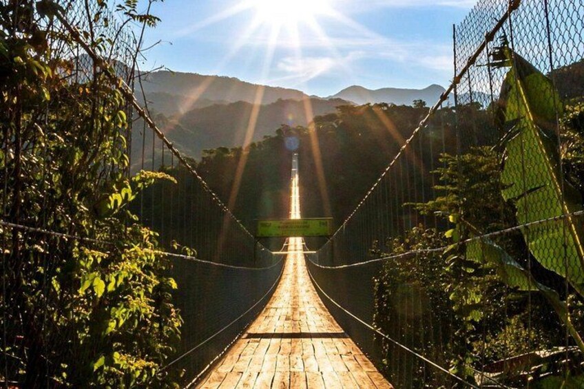 Jorullo Bridge Rzr Tour 2