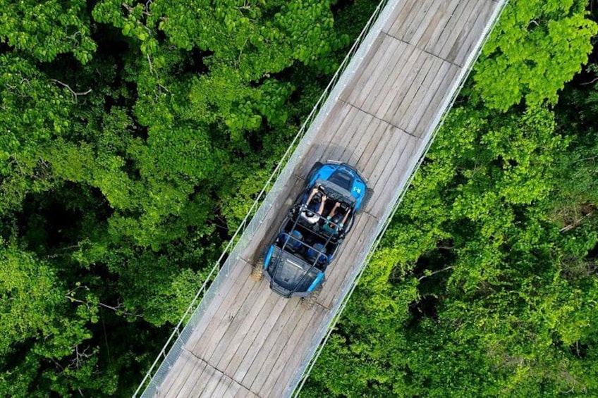 Une voiture bleue sur un pont, entourée d’un feuillage vert et dense. 1