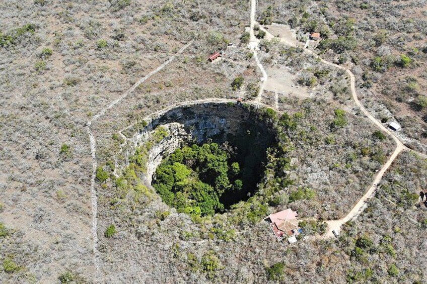 Sima de las Cotorras. 4