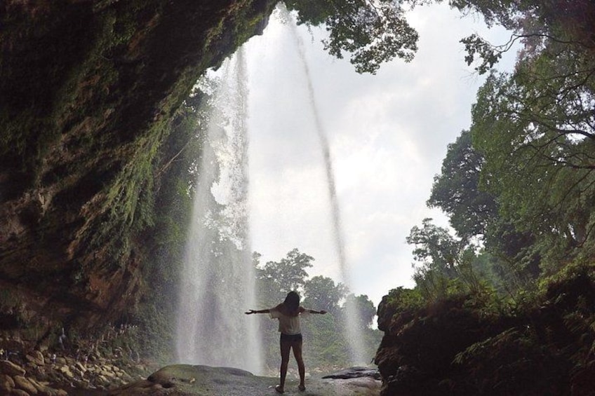 Tour to Palenque and Cascada de Misol Ha. 5