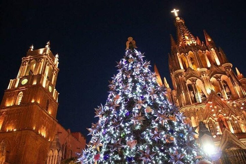 Et stort juletræ med lys foran en katedral om natten. 4