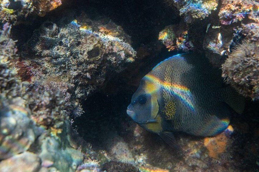 Aquarium of the World 4